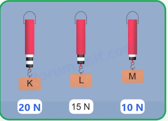 5. Sınıf Fen Bilimleri Sayfa 68 Cevapları 1. Kitap - 2 5. Sınıf Fen Bilimleri Sayfa 68 Cevapları 1. Kitap - 2