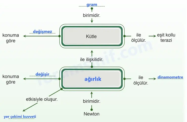 5. Sınıf Fen Bilimleri Sayfa 75 Cevapları 1. Kitap 5. Sınıf Fen Bilimleri Sayfa 75 Cevapları 1. Kitap
