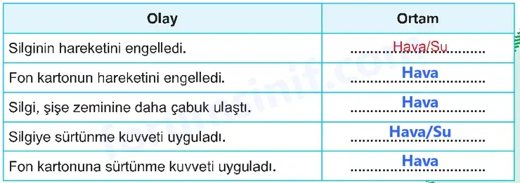 5. Sınıf Fen Bilimleri Sayfa 81 Cevapları 1. Kitap 5. Sınıf Fen Bilimleri Sayfa 81 Cevapları 1. Kitap