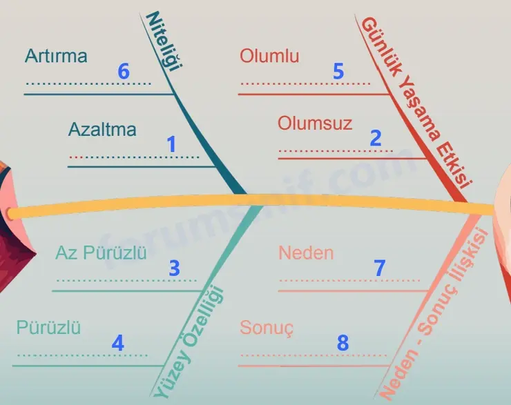 5. Sınıf Fen Bilimleri Sayfa 84 Cevapları 1. Kitap 5. Sınıf Fen Bilimleri Sayfa 84 Cevapları 1. Kitap