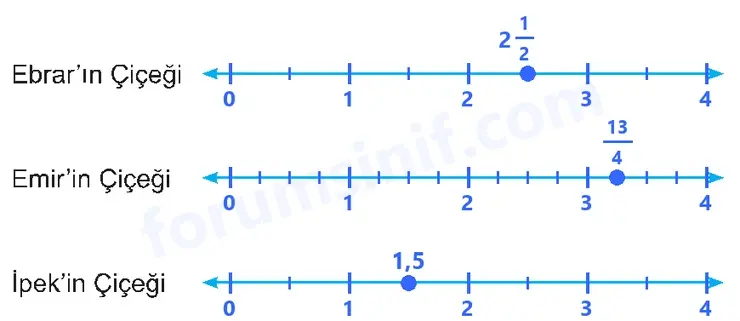 5. Sınıf Matematik Ders Kitabı Sayfa 30 Cevapları İkinci Kitap 5. Sınıf Matematik Ders Kitabı Sayfa 30 Cevapları İkinci Kitap