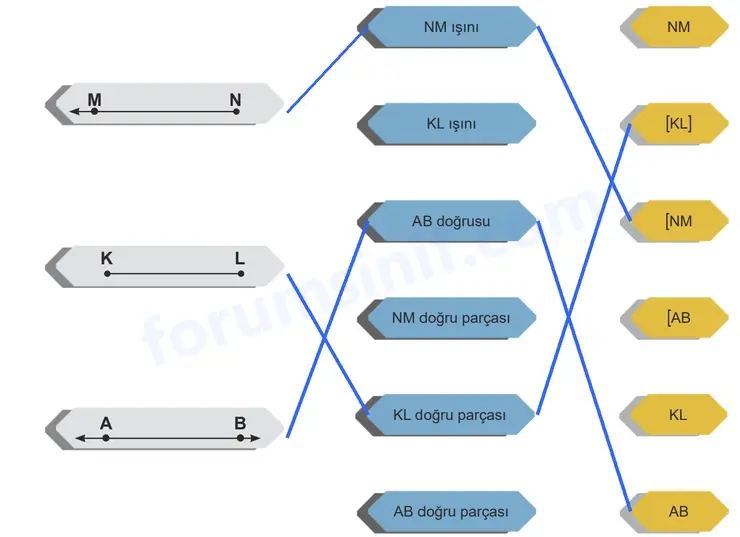 5. Sınıf Matematik Ders Kitabı Sayfa 20 Cevapları Birinci Kitap