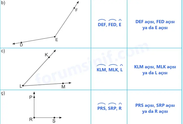5. Sınıf Matematik Ders Kitabı Sayfa 24 Cevapları Birinci Kitap