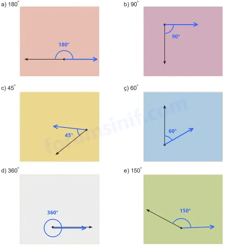 5. Sınıf Matematik Ders Kitabı Sayfa 43 Cevapları Birinci Kitap