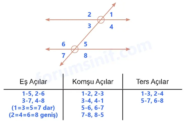 5. Sınıf Matematik Ders Kitabı Sayfa 56 Cevapları Birinci Kitap 5. Sınıf Matematik Ders Kitabı Sayfa 56 Cevapları Birinci Kitap
