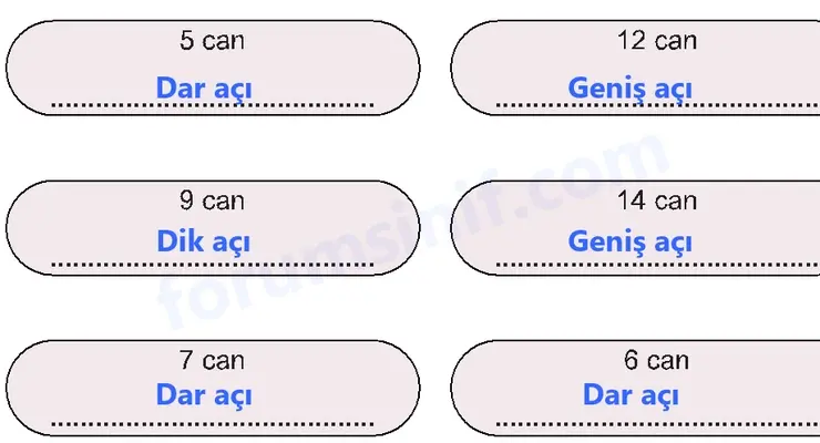 5. Sınıf Matematik Ders Kitabı Sayfa 88 Cevapları Birinci Kitap 5. Sınıf Matematik Ders Kitabı Sayfa 88 Cevapları Birinci Kitap