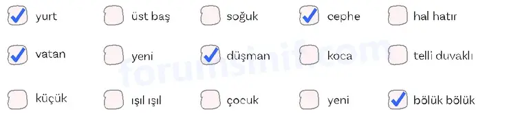 5. Sınıf Türkçe Ders Kitabı Sayfa 80 Cevapları 1. Kitap