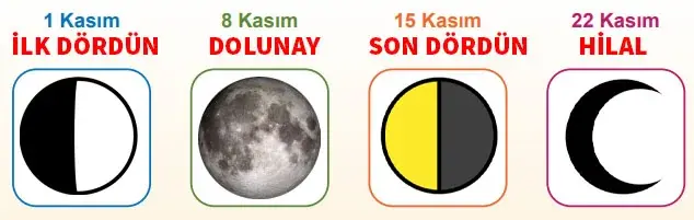 5. Sınıf Fen Bilimleri Ders Kitabı Sayfa 40 Cevapları Birinci Kitap 5. Sınıf Fen Bilimleri Ders Kitabı Sayfa 40 Cevapları Birinci Kitap