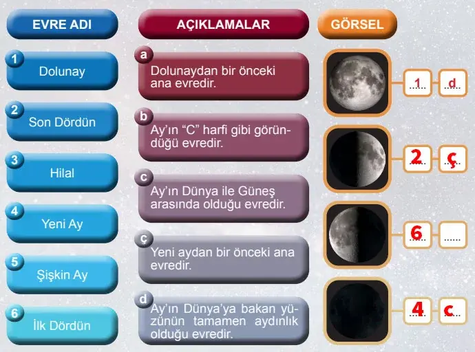 5. Sınıf Fen Bilimleri Ders Kitabı Sayfa 43 Cevapları Birinci Kitap 5. Sınıf Fen Bilimleri Ders Kitabı Sayfa 43 Cevapları Birinci Kitap