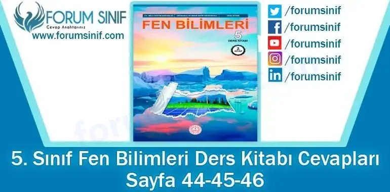 5. Sınıf Fen Bilimleri Ders Kitabı Sayfa 44-45-46. Cevapları MEB Yayınları 5. Sınıf Fen Bilimleri Ders Kitabı Sayfa 44-45-46. Cevapları MEB Yayınları