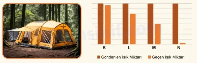 5. Sınıf Fen Bilimleri Ders Kitabı Sayfa 46 Cevapları MEB Yayınları 5. Sınıf Fen Bilimleri Ders Kitabı Sayfa 46 Cevapları MEB Yayınları
