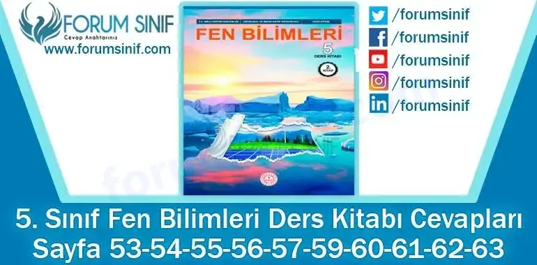 5. Sınıf Fen Bilimleri Ders Kitabı Sayfa 53-54-55-56-57-59-60-61-62-63. Cevapları MEB Yayınları 5. Sınıf Fen Bilimleri Ders Kitabı Sayfa 53-54-55-56-57-59-60-61-62-63. Cevapları MEB Yayınları