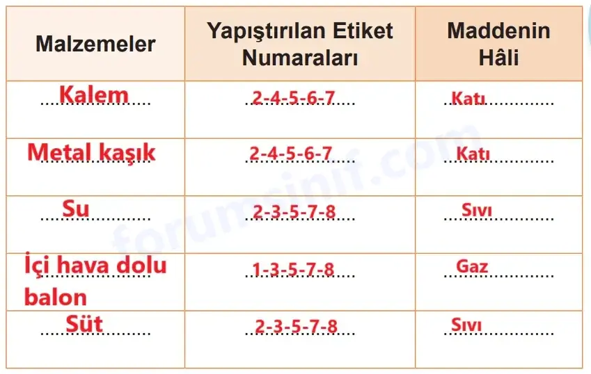 5. Sınıf Fen Bilimleri Ders Kitabı Sayfa 61 Cevapları MEB Yayınları 5. Sınıf Fen Bilimleri Ders Kitabı Sayfa 61 Cevapları MEB Yayınları