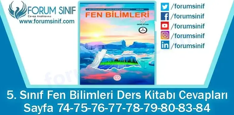 5. Sınıf Fen Bilimleri Ders Kitabı Sayfa 74-75-76-77-78-79-80-83-84. Cevapları MEB Yayınları