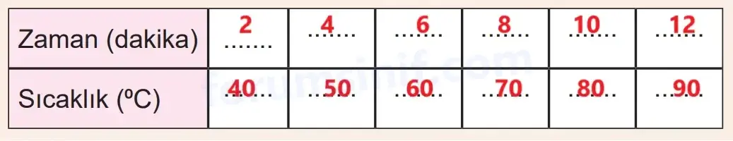 5. Sınıf Fen Bilimleri Ders Kitabı Sayfa 77 Cevapları MEB Yayınları