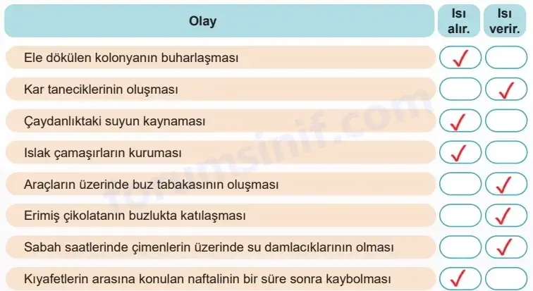 5. Sınıf Fen Bilimleri Ders Kitabı Sayfa 79 Cevapları MEB Yayınları