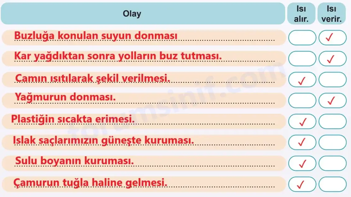 5. Sınıf Fen Bilimleri Ders Kitabı Sayfa 79 Cevapları MEB Yayınları1