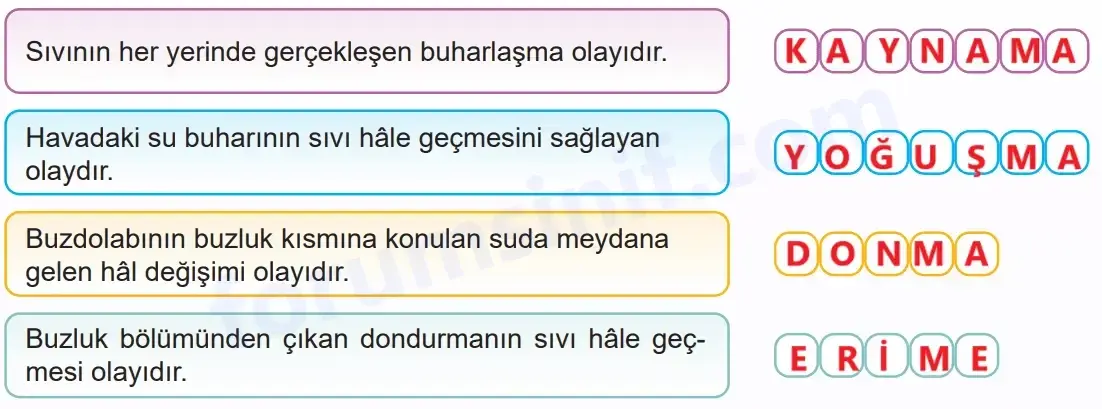 5. Sınıf Fen Bilimleri Ders Kitabı Sayfa 84 Cevapları MEB Yayınları