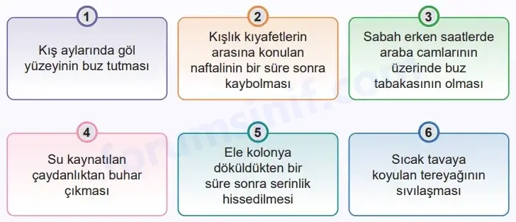 5. Sınıf Fen Bilimleri Ders Kitabı Sayfa 84 Cevapları MEB Yayınları1