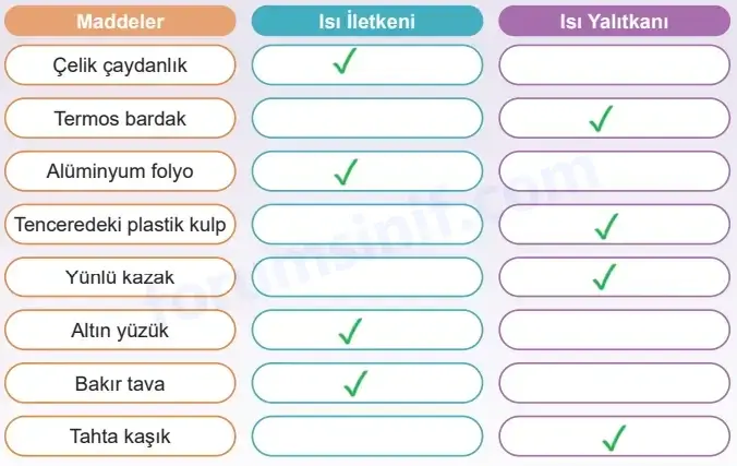 5. Sınıf Fen Bilimleri Ders Kitabı Sayfa 87 Cevapları MEB Yayınları