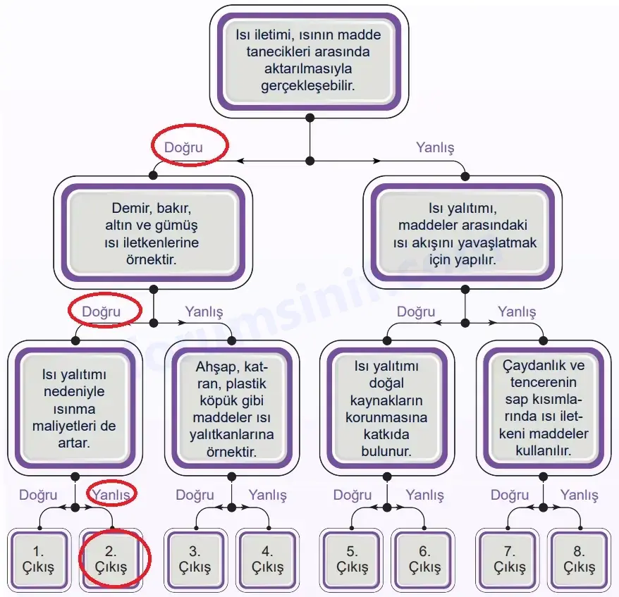 5. Sınıf Fen Bilimleri Ders Kitabı Sayfa 95 Cevapları MEB Yayınları