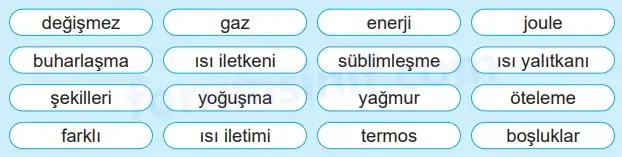 5. Sınıf Fen Bilimleri Ders Kitabı Sayfa 96 Cevapları MEB Yayınları