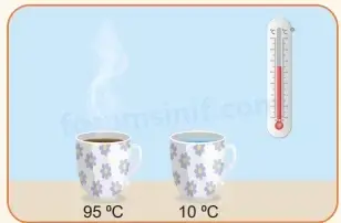 5. Sınıf Fen Bilimleri Ders Kitabı Sayfa 98 Cevapları MEB Yayınları