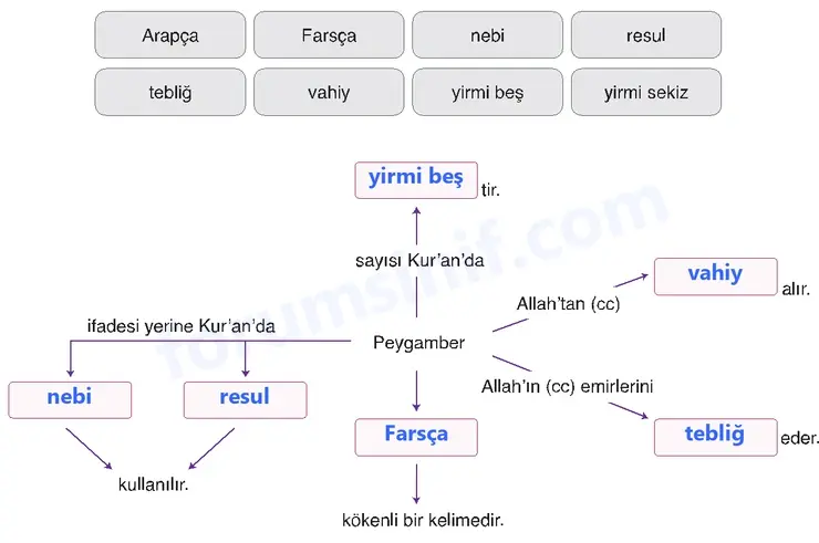 6. Sınıf Din Kültürü Sayfa 18 Cevapları MEB Yayınları 6. Sınıf Din Kültürü Sayfa 18 Cevapları MEB Yayınları