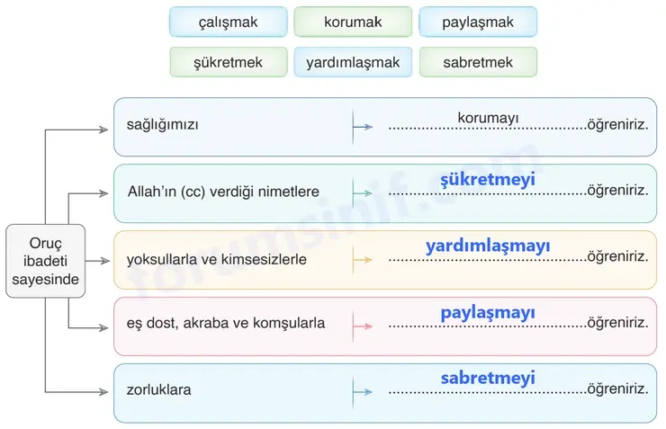 6. Sınıf Din Kültürü Sayfa 62 Cevapları MEB Yayınları