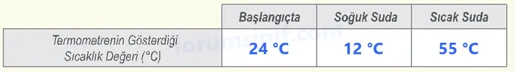 6. Sınıf Fen Bilimleri Ders Kitabı Sayfa 17 Cevapları 2. KİTAP 6. Sınıf Fen Bilimleri Ders Kitabı Sayfa 17 Cevapları 2. KİTAP