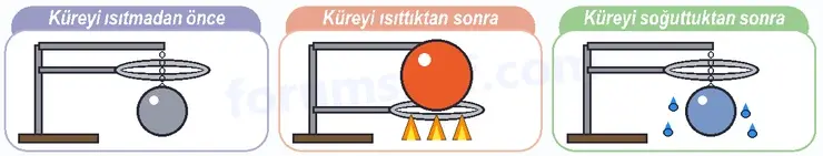 6. Sınıf Fen Bilimleri Ders Kitabı Sayfa 22 Cevapları 2. KİTAP 6. Sınıf Fen Bilimleri Ders Kitabı Sayfa 22 Cevapları 2. KİTAP