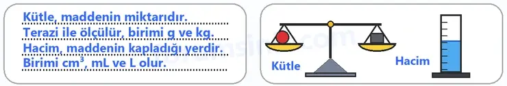6. Sınıf Fen Bilimleri Ders Kitabı Sayfa 38 Cevapları 2. KİTAP