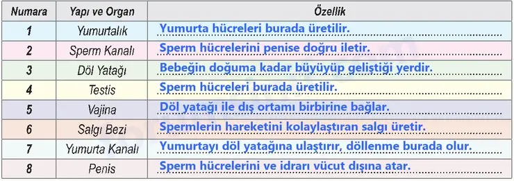 6. Sınıf Fen Bilimleri Ders Kitabı Sayfa 103 Cevapları - 2 6. Sınıf Fen Bilimleri Ders Kitabı Sayfa 103 Cevapları - 2