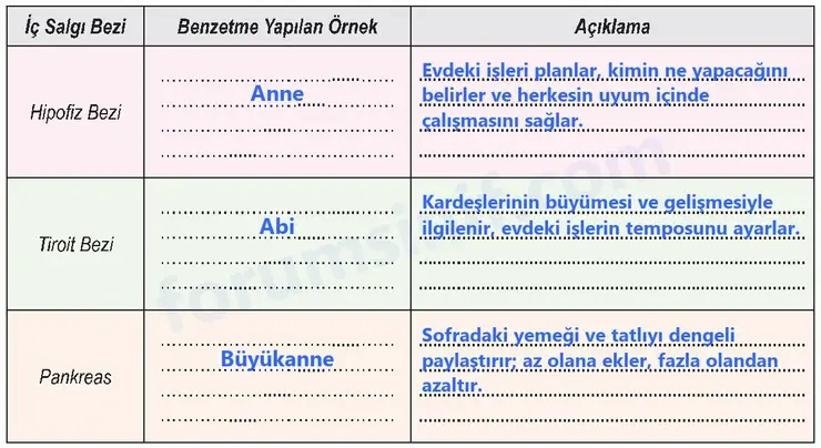 6. Sınıf Fen Bilimleri Ders Kitabı Sayfa 117 Cevapları 6. Sınıf Fen Bilimleri Ders Kitabı Sayfa 117 Cevapları