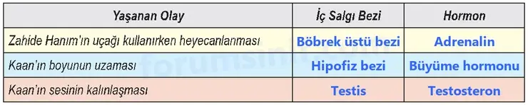 6. Sınıf Fen Bilimleri Ders Kitabı Sayfa 127 Cevapları 6. Sınıf Fen Bilimleri Ders Kitabı Sayfa 127 Cevapları