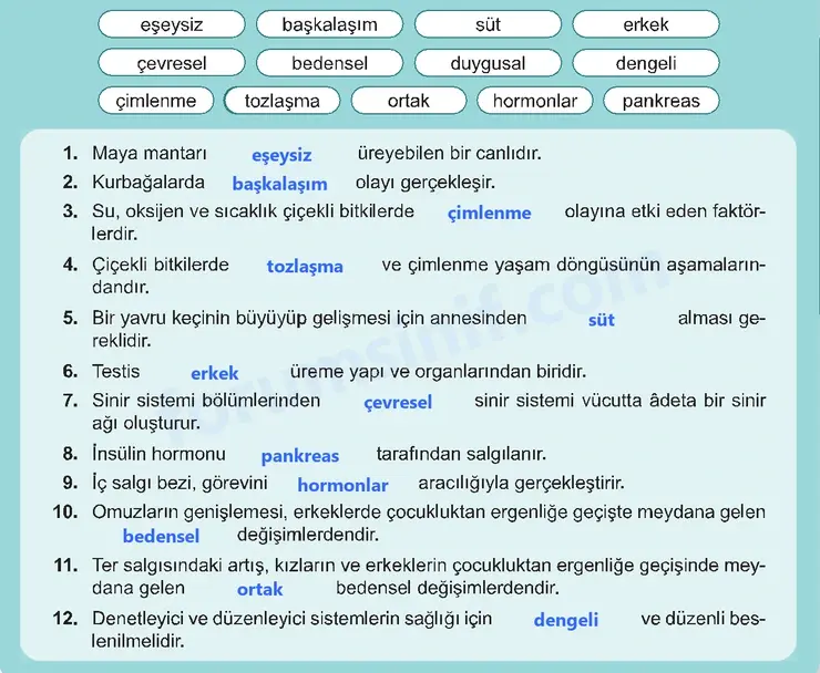 6. Sınıf Fen Bilimleri Ders Kitabı Sayfa 129 Cevapları 6. Sınıf Fen Bilimleri Ders Kitabı Sayfa 129 Cevapları