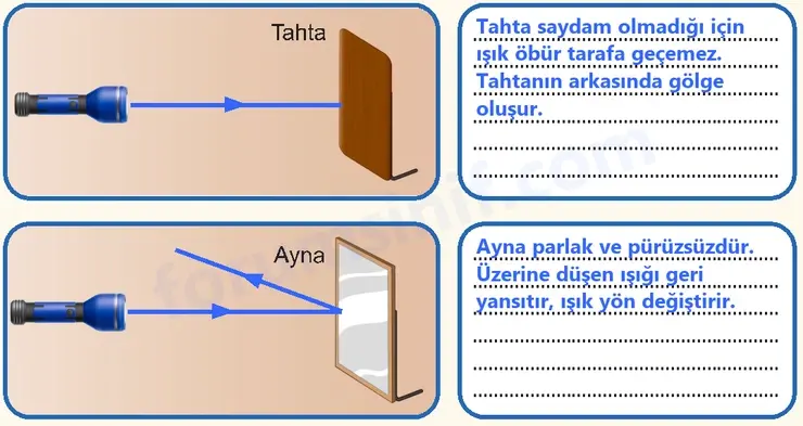 6. Sınıf Fen Bilimleri Ders Kitabı Sayfa 134 Cevapları - 2