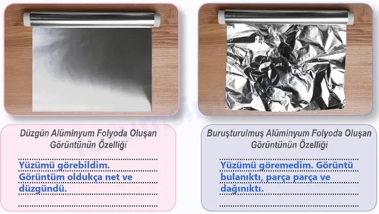 6. Sınıf Fen Bilimleri Ders Kitabı Sayfa 137 Cevapları
