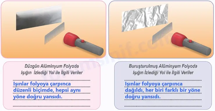 6. Sınıf Fen Bilimleri Ders Kitabı Sayfa 138 Cevapları