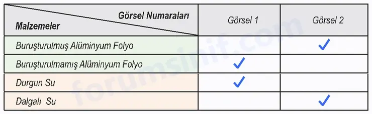 6. Sınıf Fen Bilimleri Ders Kitabı Sayfa 140 Cevapları