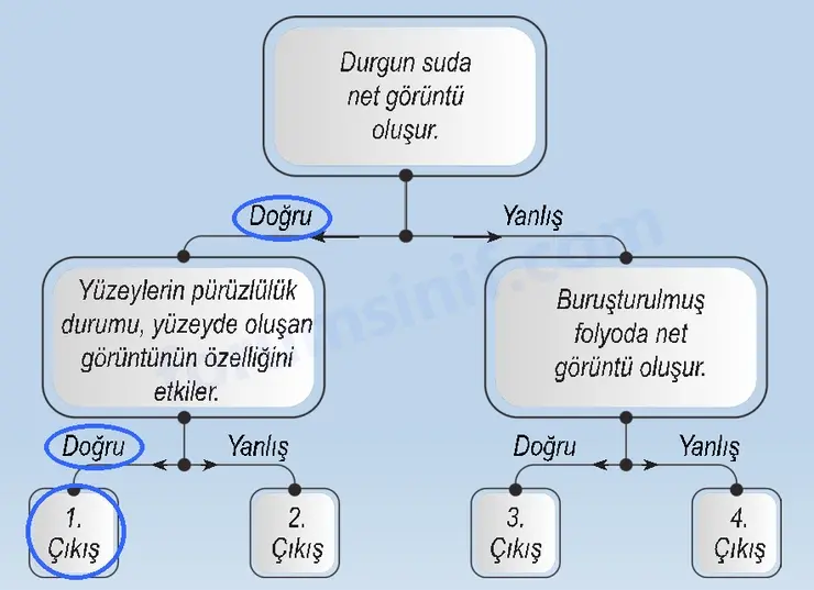 6. Sınıf Fen Bilimleri Ders Kitabı Sayfa 142 Cevapları