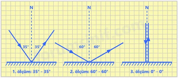 6. Sınıf Fen Bilimleri Ders Kitabı Sayfa 147 Cevapları - 2