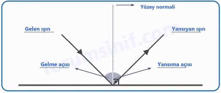 6. Sınıf Fen Bilimleri Ders Kitabı Sayfa 148 Cevapları
