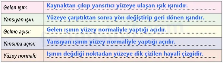 6. Sınıf Fen Bilimleri Ders Kitabı Sayfa 148 Cevapları - 2