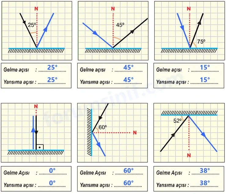 6. Sınıf Fen Bilimleri Ders Kitabı Sayfa 150 Cevapları - 2