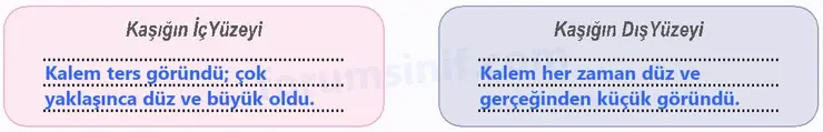 6. Sınıf Fen Bilimleri Ders Kitabı Sayfa 154 Cevapları 6. Sınıf Fen Bilimleri Ders Kitabı Sayfa 154 Cevapları