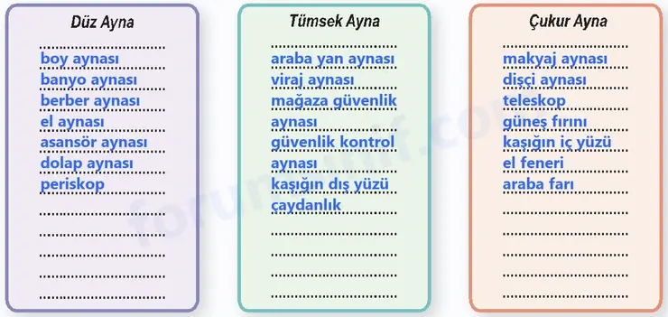 6. Sınıf Fen Bilimleri Ders Kitabı Sayfa 155 Cevapları 6. Sınıf Fen Bilimleri Ders Kitabı Sayfa 155 Cevapları