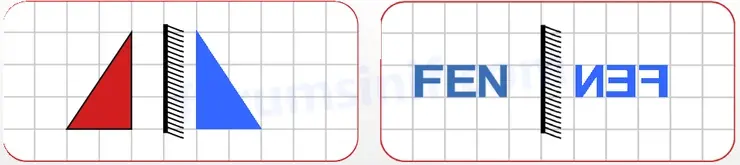 6. Sınıf Fen Bilimleri Ders Kitabı Sayfa 159 Cevapları