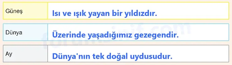 6. Sınıf Fen Bilimleri Ders Kitabı Sayfa 16 Cevapları