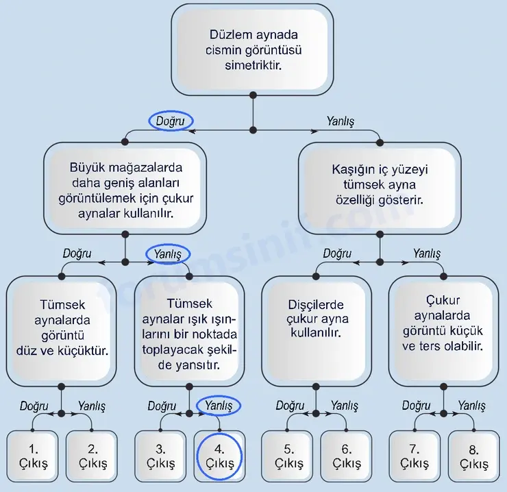 6. Sınıf Fen Bilimleri Ders Kitabı Sayfa 161 Cevapları 6. Sınıf Fen Bilimleri Ders Kitabı Sayfa 161 Cevapları